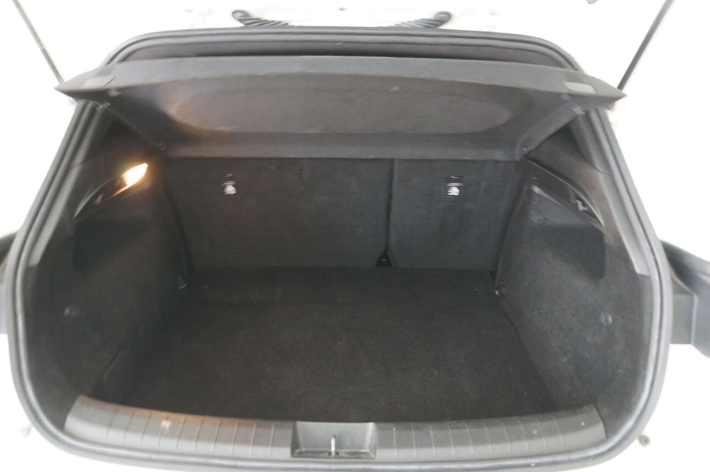 Fiat Tipo usata a Torino (7)