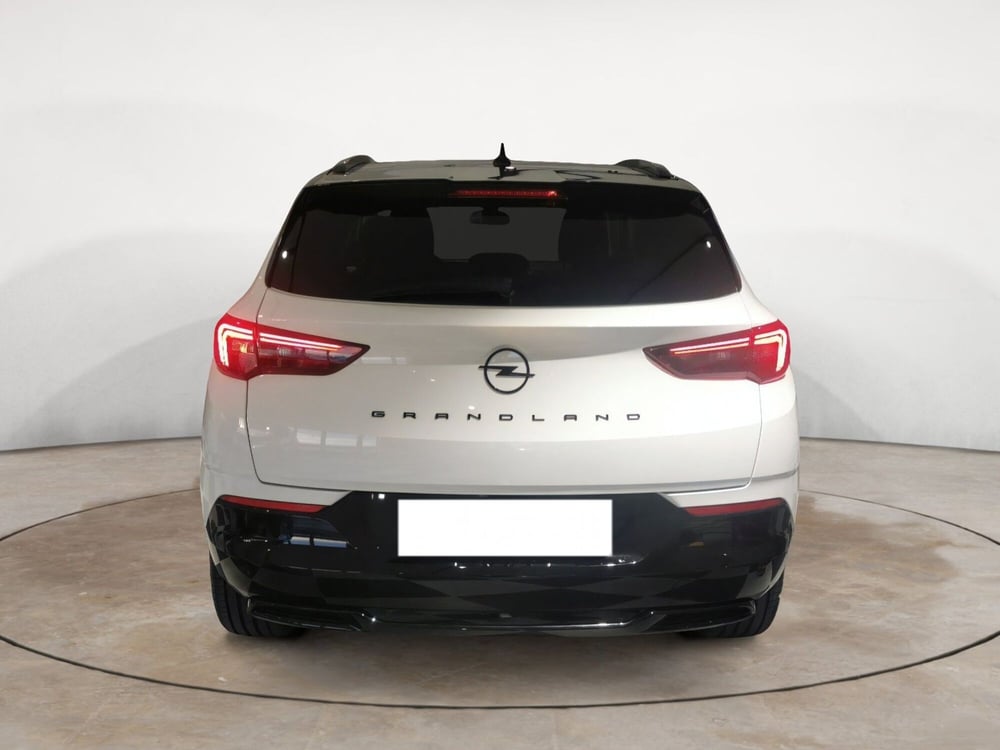 Opel Grandland usata a Taranto (5)