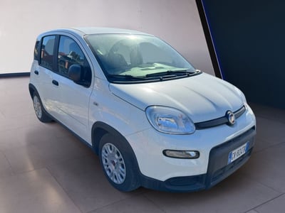 Fiat Panda 1.0 firefly hybrid s&amp;s 70cv 5p.ti del 2024 usata a Fisciano