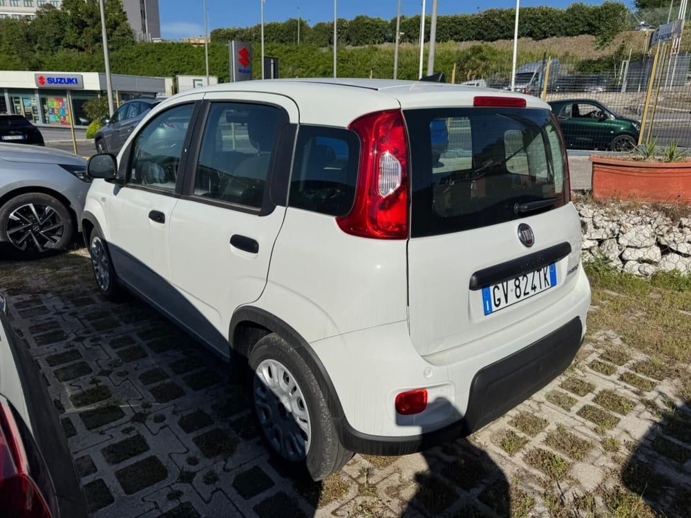 Fiat Panda usata a Salerno (2)