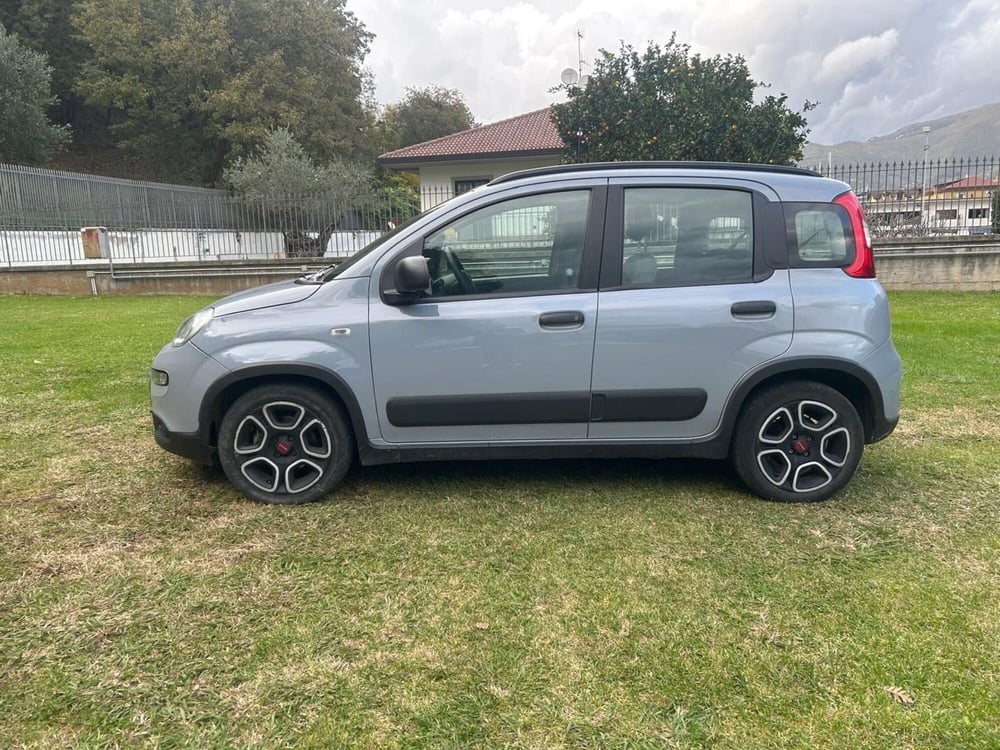 Fiat Panda usata a Salerno (10)