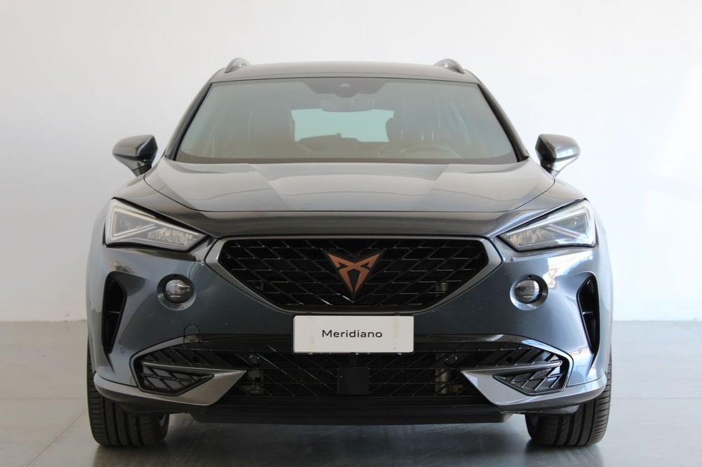 Cupra Formentor usata a Agrigento (2)
