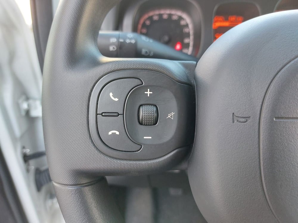 Fiat Panda Cross usata a Pavia (11)
