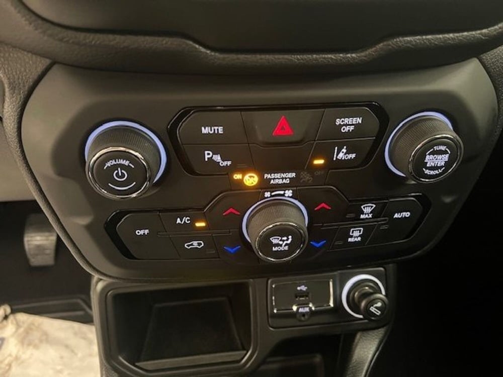 Jeep Renegade usata a Alessandria (13)