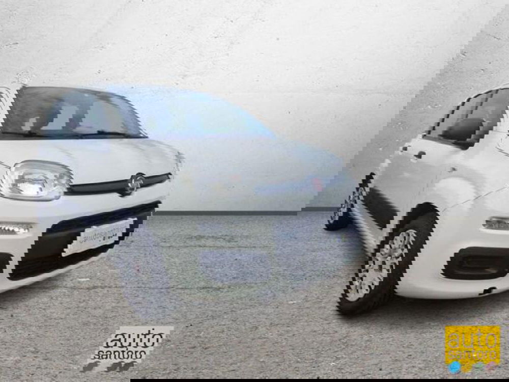 Fiat Panda usata a Salerno (2)