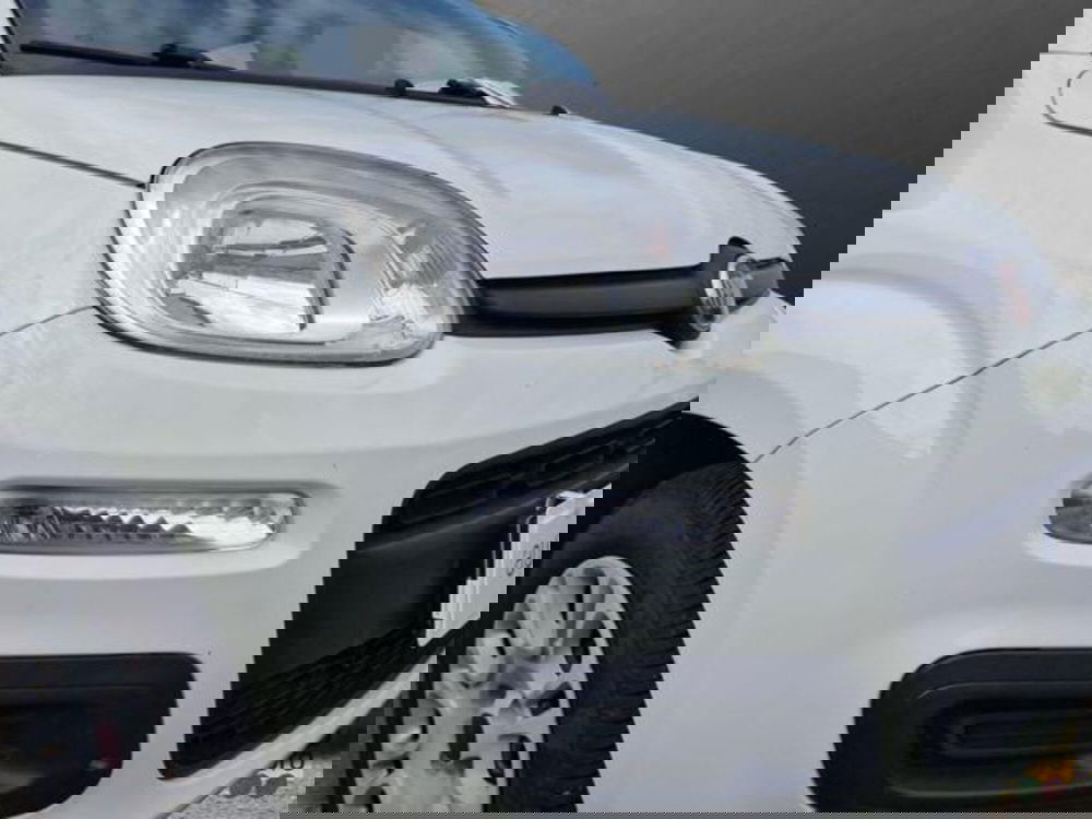 Fiat Panda usata a Salerno (8)
