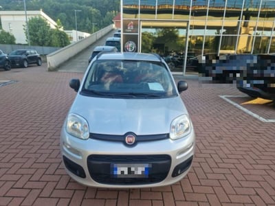 Fiat Panda 1.3 MJT S&amp;S Easy del 2015 usata a Orvieto