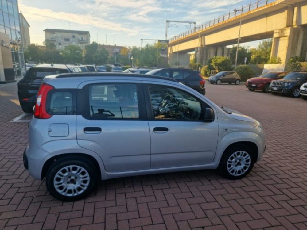 Fiat Panda usata a Terni (3)