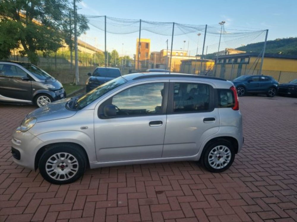 Fiat Panda usata a Terni (4)