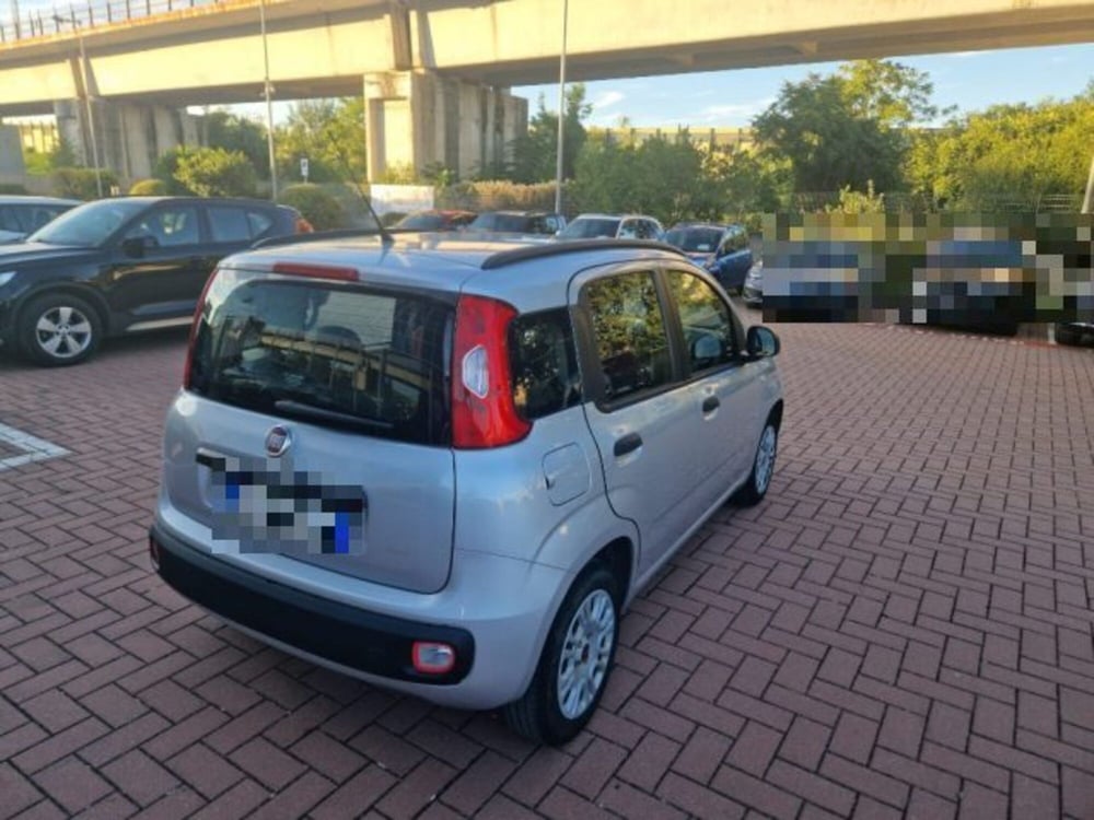 Fiat Panda usata a Terni (5)