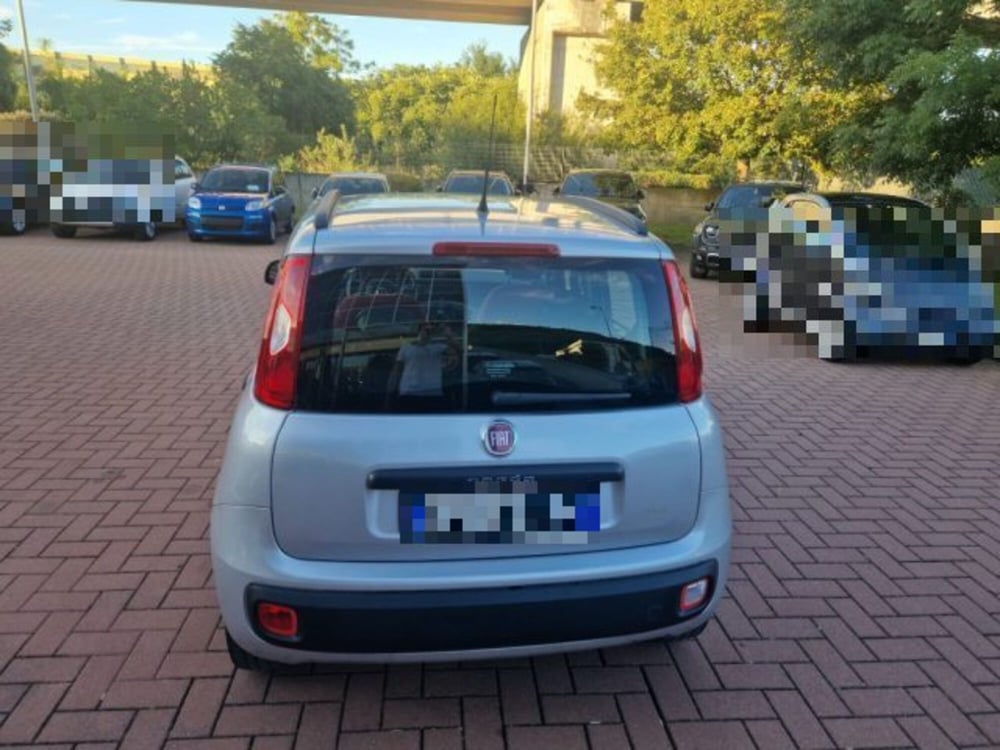 Fiat Panda usata a Terni (6)