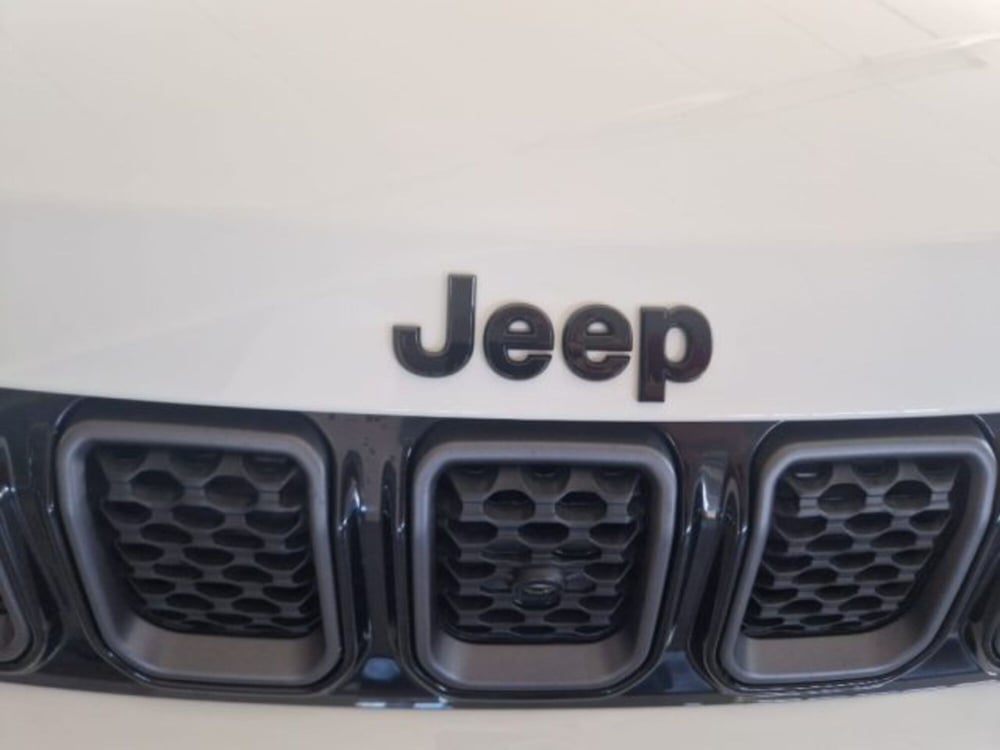 Jeep Compass usata a Terni (20)