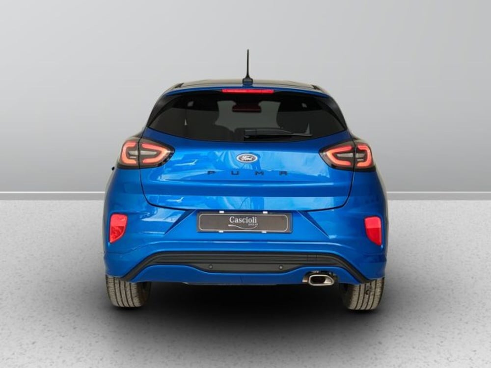 Ford Puma usata a Teramo (4)