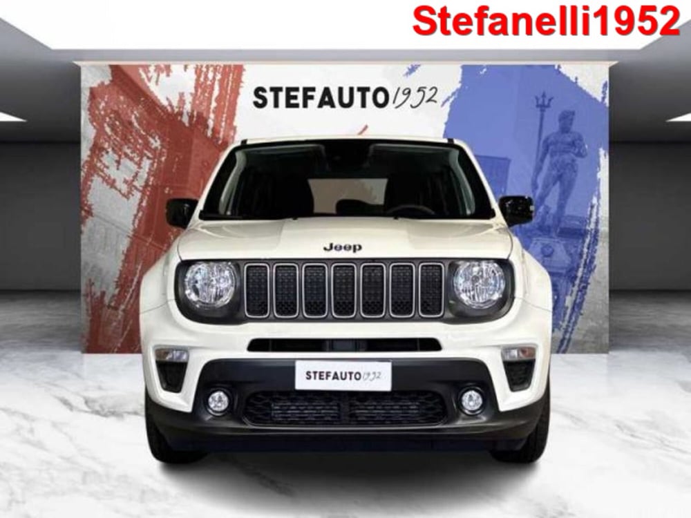 Jeep Renegade usata a Bologna (2)