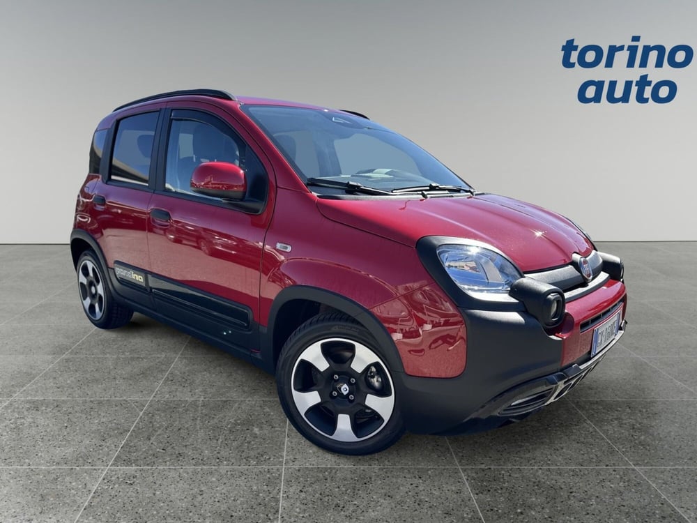 Fiat Panda Cross usata a Torino