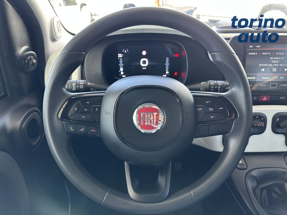 Fiat Panda Cross usata a Torino (15)