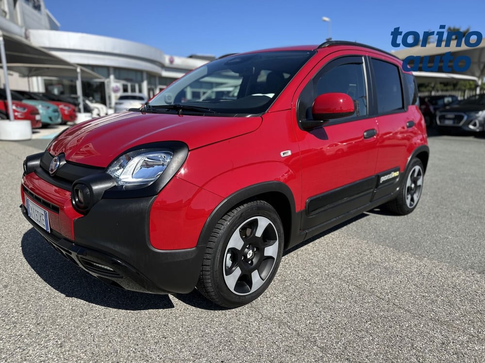 Fiat Panda Cross usata a Torino (3)
