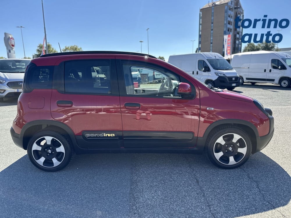 Fiat Panda Cross usata a Torino (8)