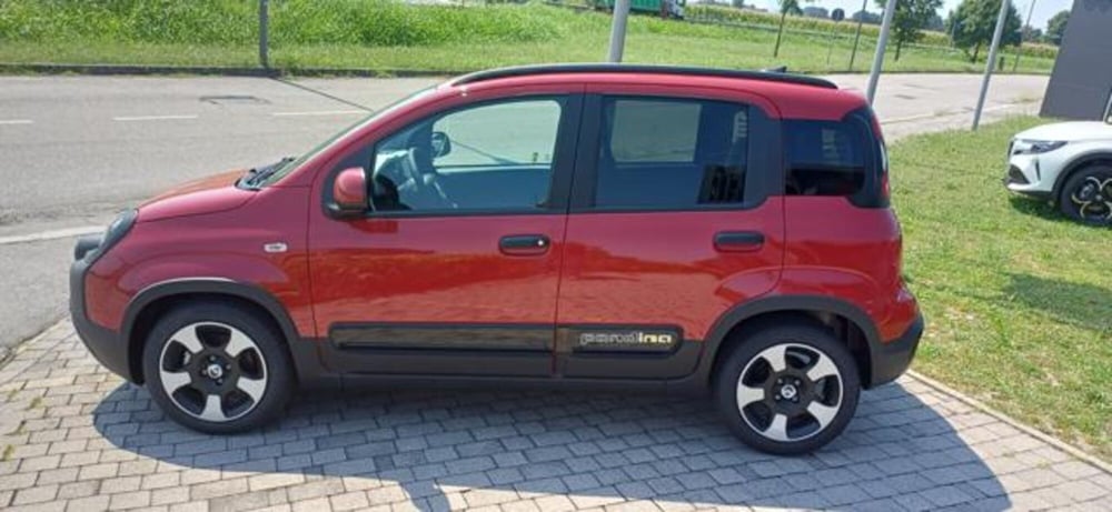 Fiat Panda nuova a Padova (6)