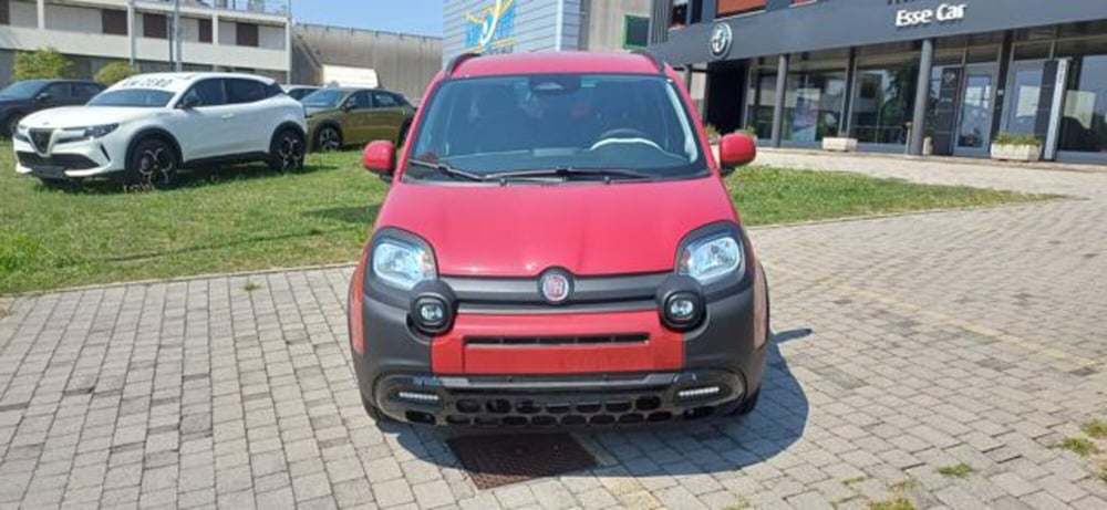 Fiat Panda nuova a Padova (7)