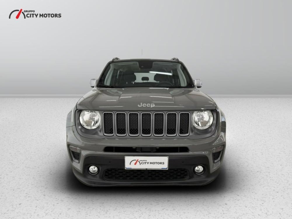 Jeep Renegade usata a Monza e Brianza (2)