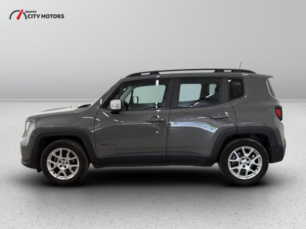 Jeep Renegade usata a Monza e Brianza (3)