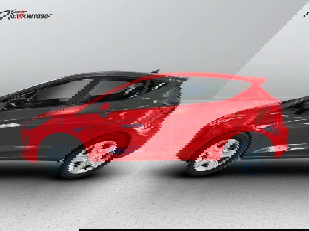 Ford Fiesta usata a Monza e Brianza (3)