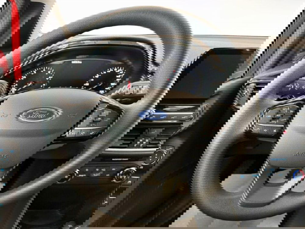 Ford Fiesta usata a Monza e Brianza (7)