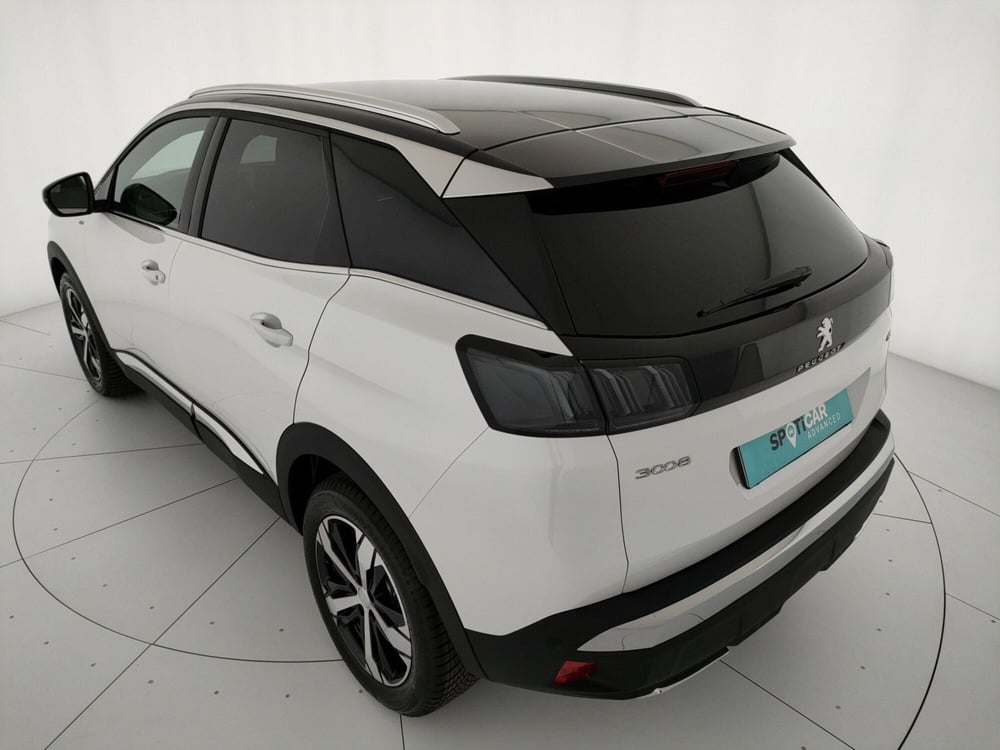 Peugeot 3008 usata a Caserta (19)