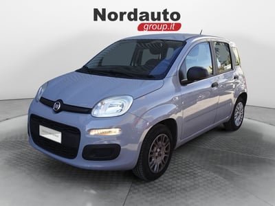 Fiat Panda 1.2 EasyPower Easy del 2018 usata a Montebelluna