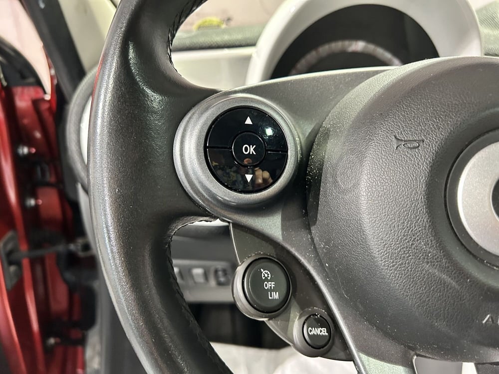 smart forfour usata a Milano (16)