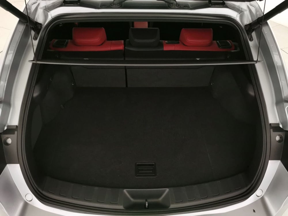 Lexus UX usata a Chieti (10)