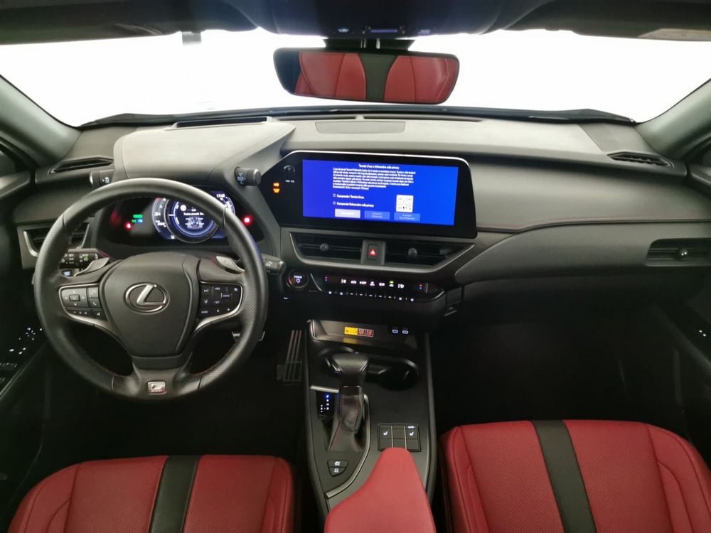 Lexus UX usata a Chieti (11)