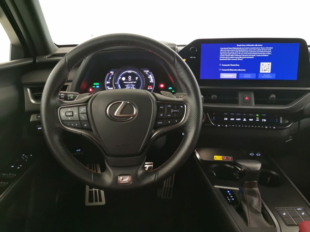 Lexus UX usata a Chieti (12)