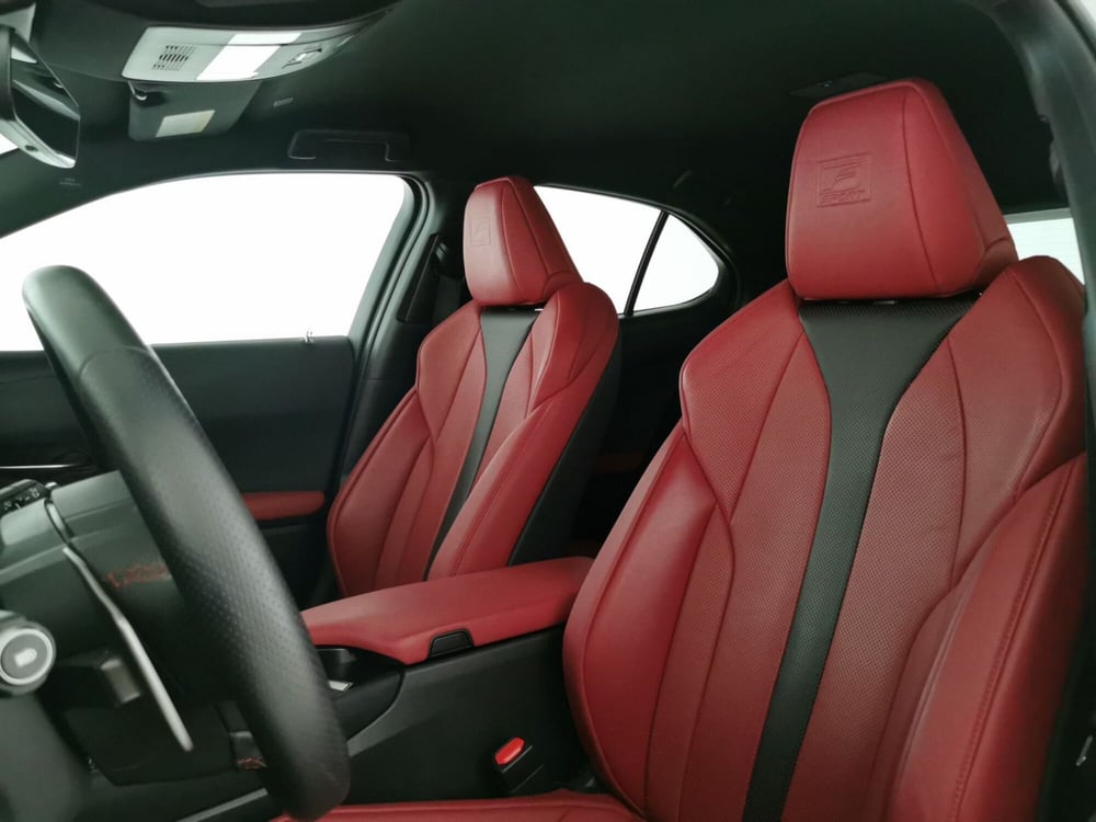 Lexus UX usata a Chieti (15)