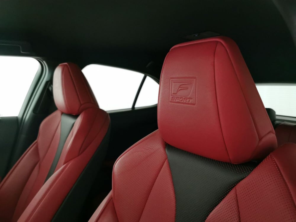 Lexus UX usata a Chieti (16)