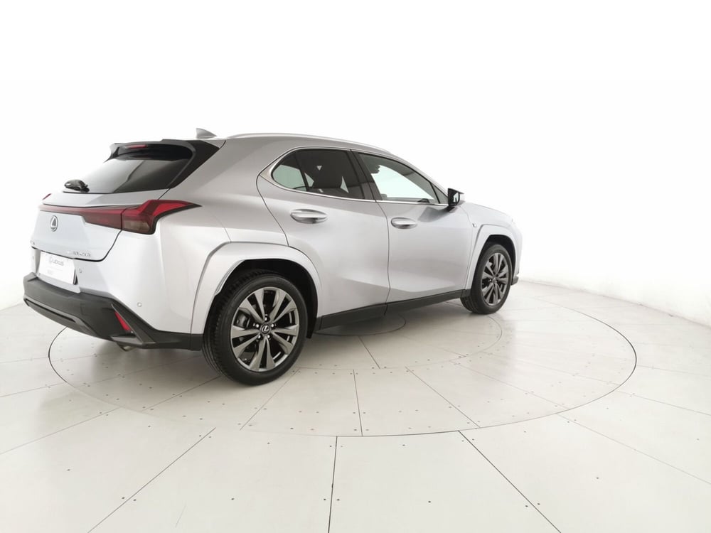 Lexus UX usata a Chieti (5)