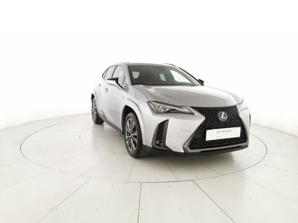 Lexus UX usata a Chieti (6)