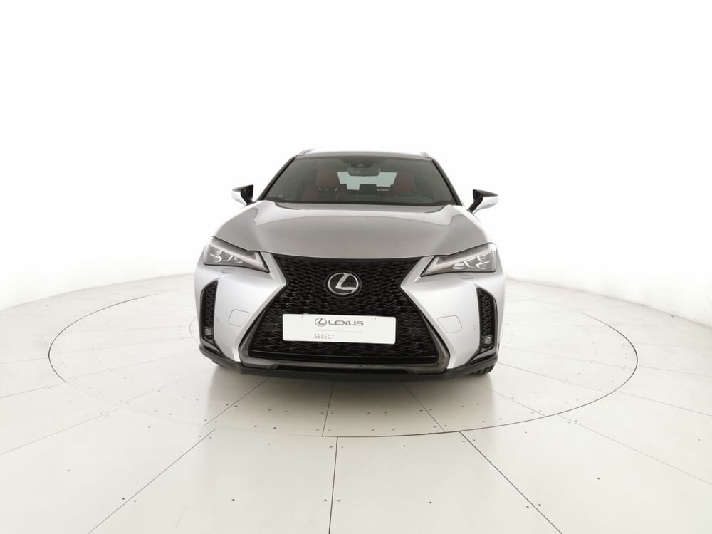 Lexus UX usata a Chieti (7)