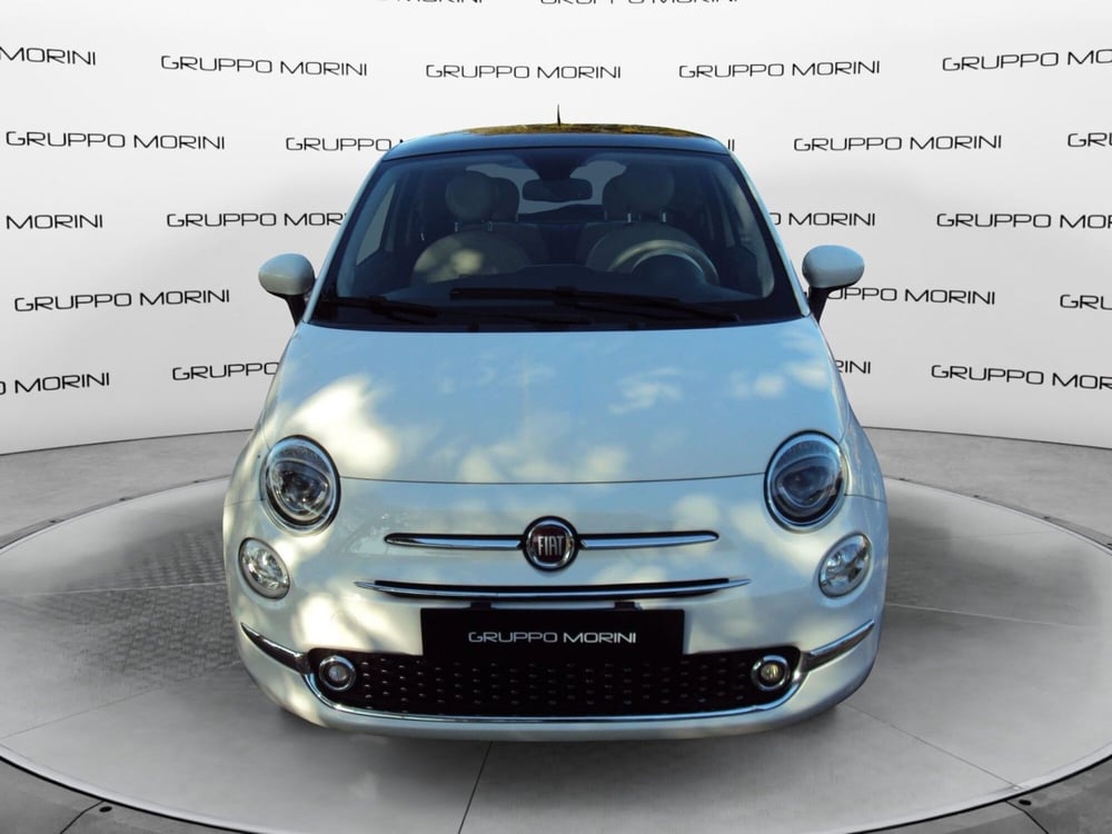 Fiat 500 usata a Bologna (2)