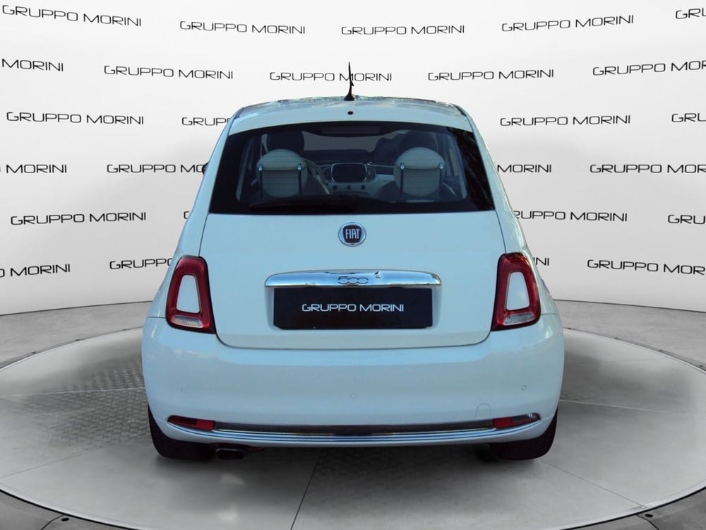 Fiat 500 usata a Bologna (4)