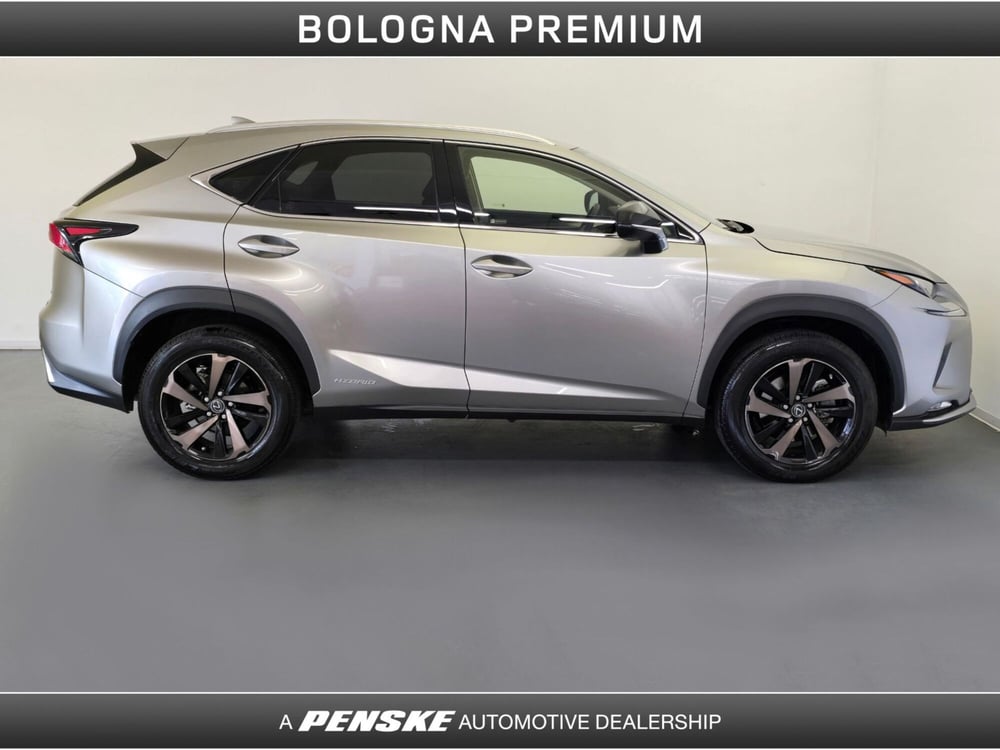Lexus NX usata a Bologna (6)