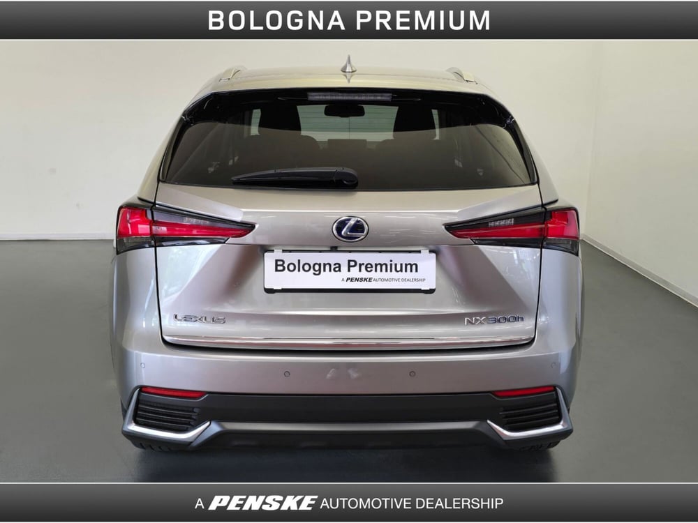 Lexus NX usata a Bologna (7)