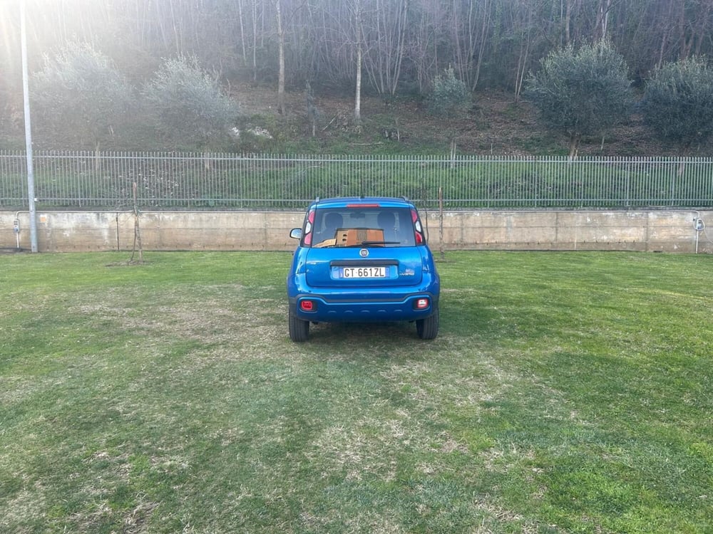 Fiat Panda Cross usata a Salerno (12)