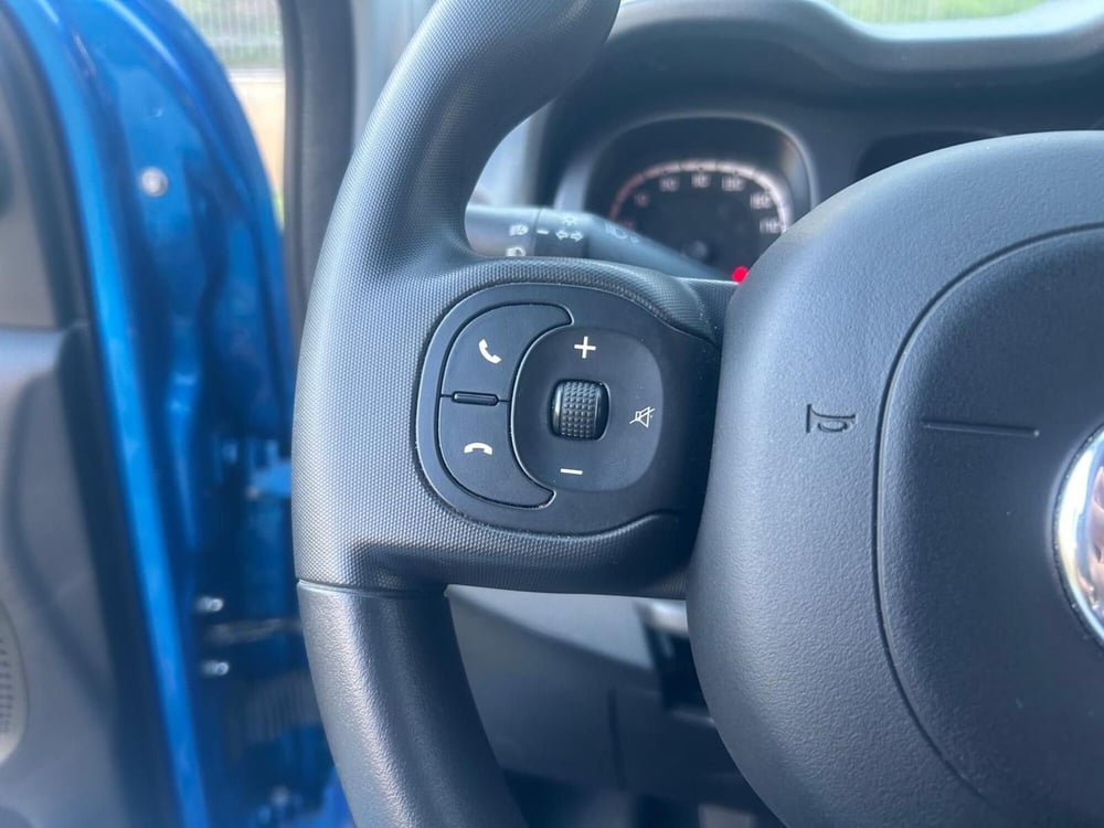 Fiat Panda Cross usata a Salerno (16)