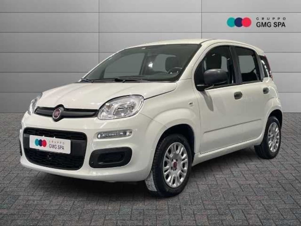 Fiat Panda usata a Firenze