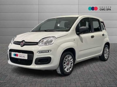 Fiat Panda 1.2 Easy del 2021 usata a Vinci