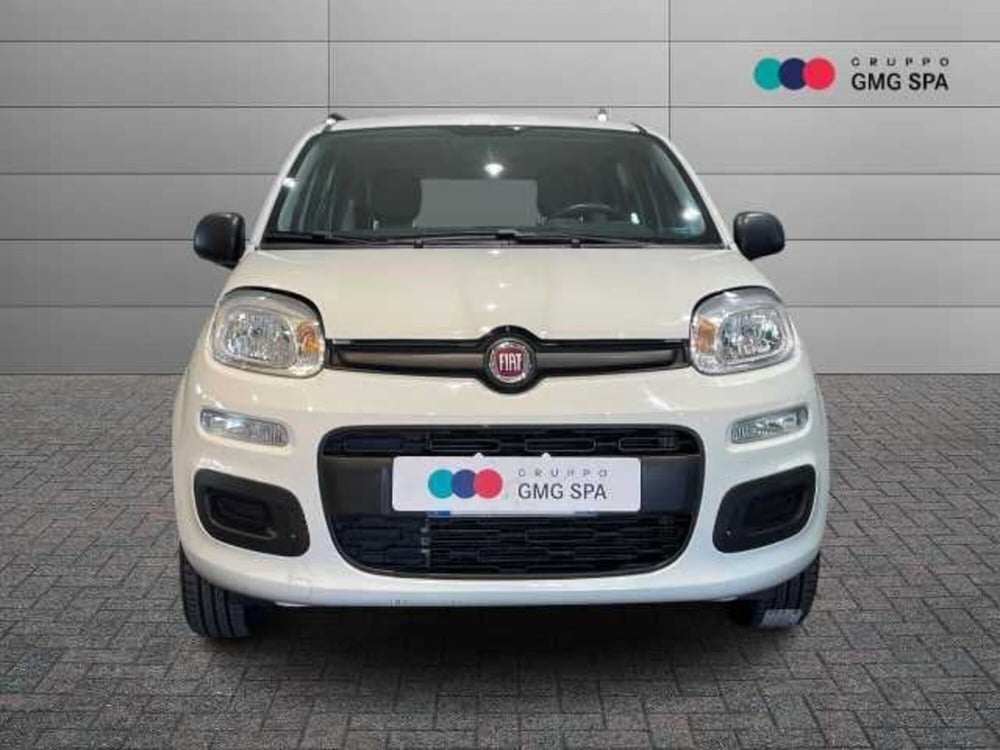 Fiat Panda usata a Firenze (2)