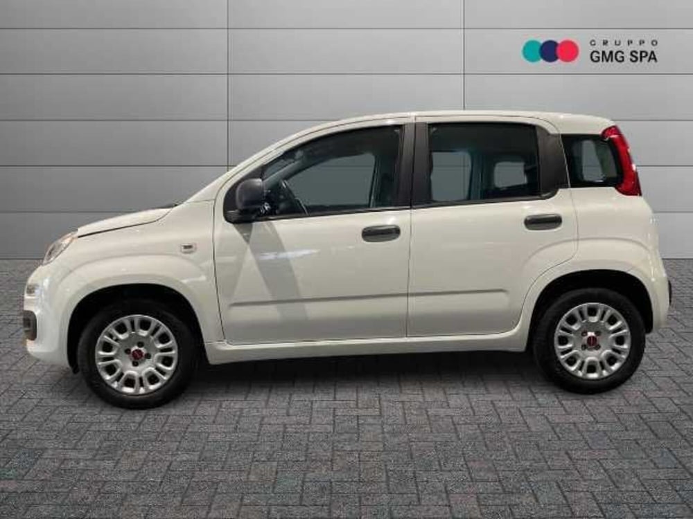 Fiat Panda usata a Firenze (5)