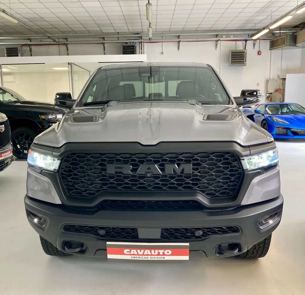 Ram Ram Pick-up nuova a Monza e Brianza (3)